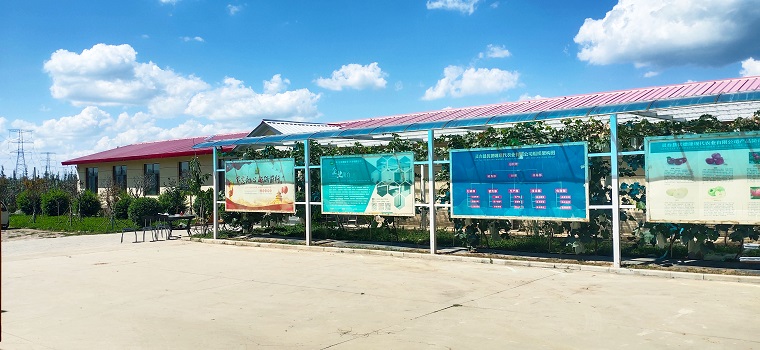 1684148782985327.jpg IMG_20210827_144143.jpg